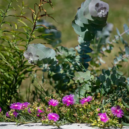 Valy By Interhome Apartament *