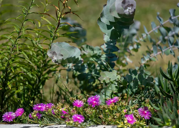 Valy By Interhome Διαμέρισμα *